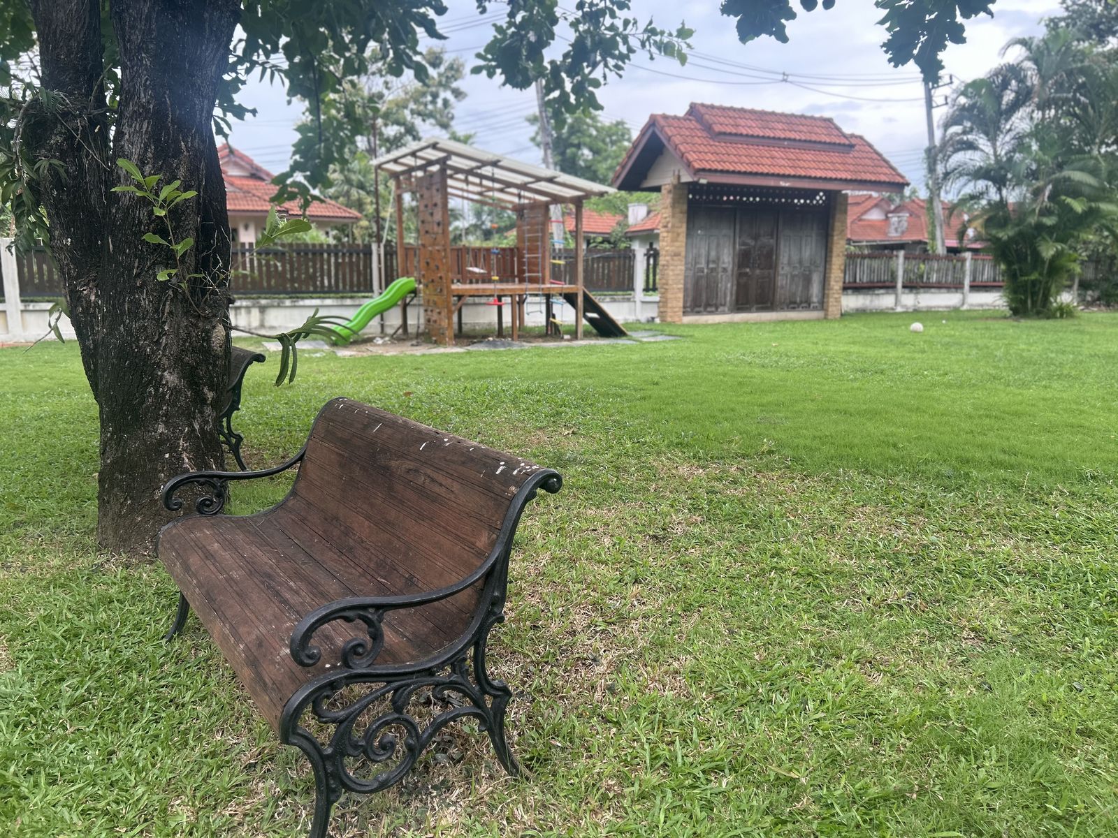 A garden bench under a tree on the church property
